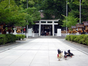 武田神社