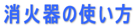 Ί̎g