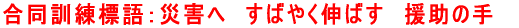 PWFЊQ  ΂₭L΂  ̎ 